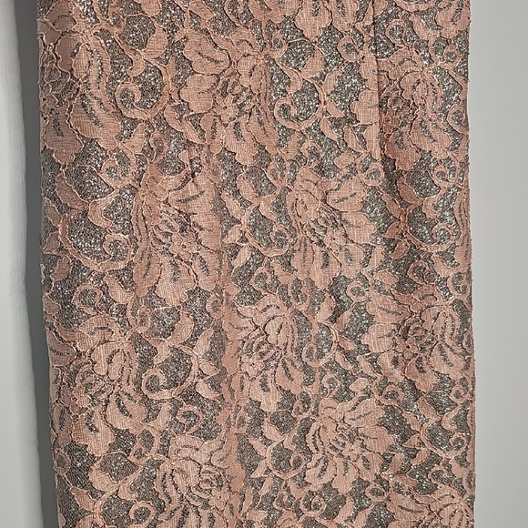 Speechless Blush Lace Mini Dress - Picture 2 of 5